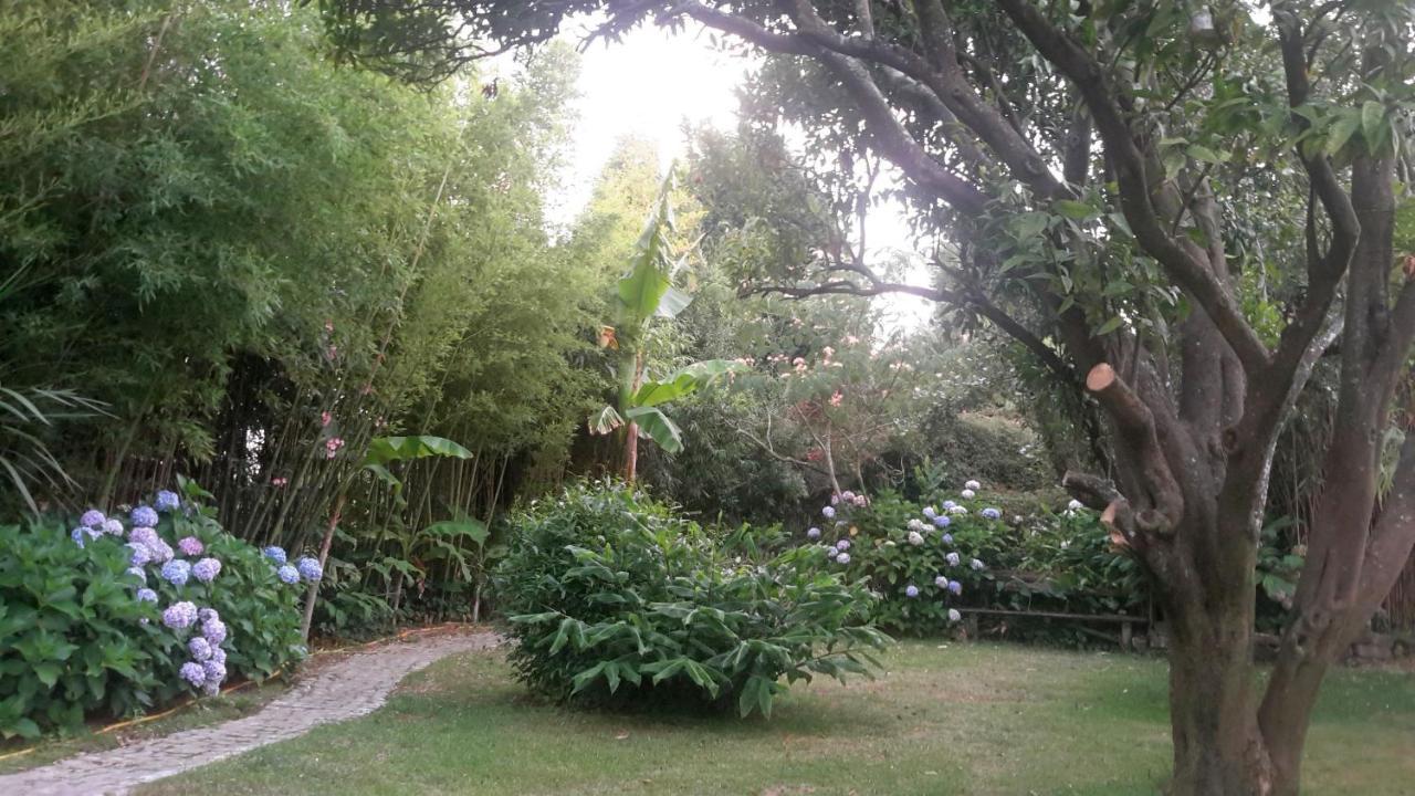 Casa 3 Aguias Bed & Breakfast Aveiro Exterior photo