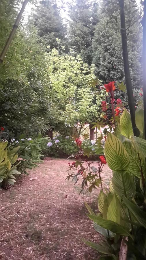 Casa 3 Aguias Bed & Breakfast Aveiro Exterior photo